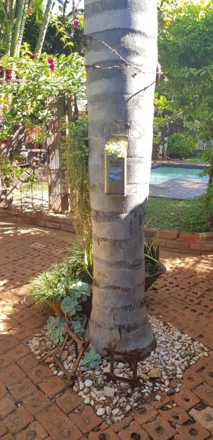 Africas Eden Guesthouse Mookgophong Екстер'єр фото